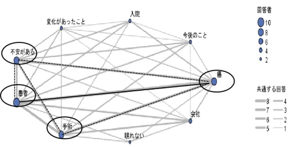 図 8  「不安」の根拠とした患者情報の解釈 
