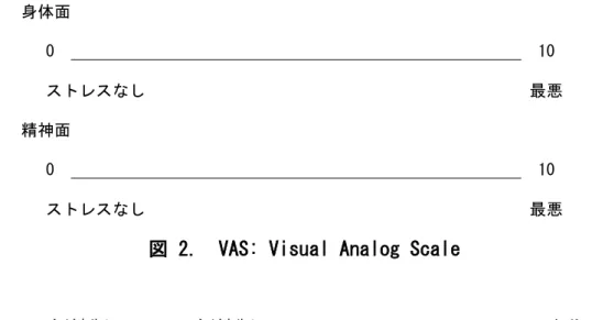 図 2.  VAS: Visual Analog Scale 
