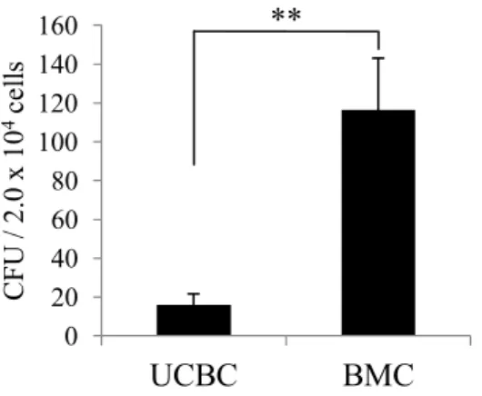 図 1 . UCBC および BMC のコロニーアッセイ . 