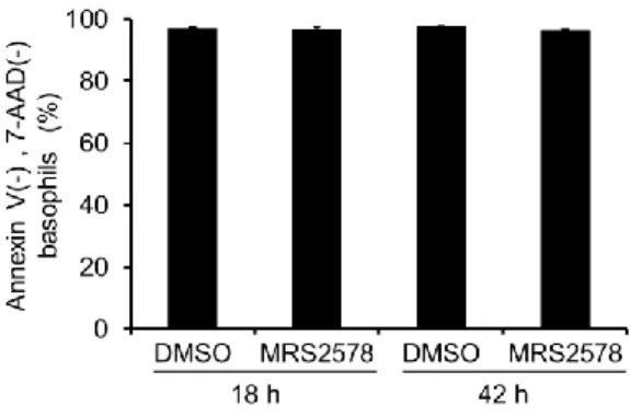 Figure 6  MRS2578 does not induce cytotoxicity in basophils. 