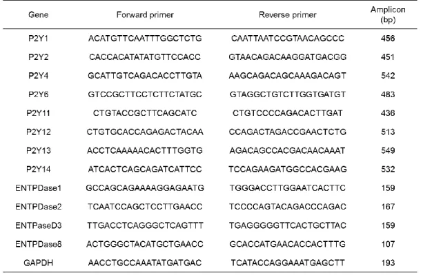 Table 1. Sequence specific primers for P2Y receptor, ENTPDase, and GAPDH