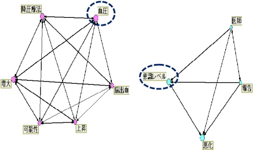 図 13   ことばネットワーク：若手看護師の重要視している事柄とその理由