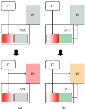 Figure 3: The flow of olfactory information in the slug brain.