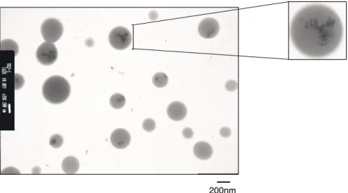 Fig. 1-4 TEM image of crosslinked fluorinated co-oligomeric nanocomposite-encapsulated               Magnt (Run 2 in Table 1-1) in methanol.