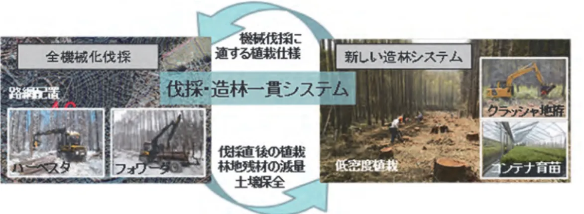 図 I.V.1  プロジェクト研究「伐採・造林一貫システム」の概要  この一貫作業における伐採システムには CTL システムを使うこととし、その実証を行いました。CTL システムとは、広くは「短幹集材」を意味する Cut-To-Length の略称ですが、近年ではハーベスタと フォワーダによる林内走行作業システムを、特に CTL システムと呼ぶようになっています。そのシス テムでは、ハーベスタが林内で伐採・枝払い・玉切り・小集積を行い、フォワーダによって集運材・ 仕分けが行われることとなり、 その結果、 伐