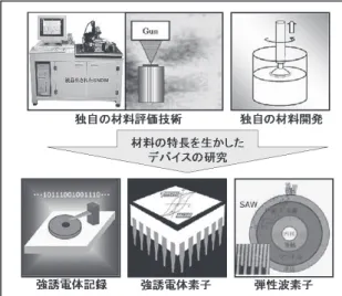 図 1.  誘電ナノデバイス研究分野の目標