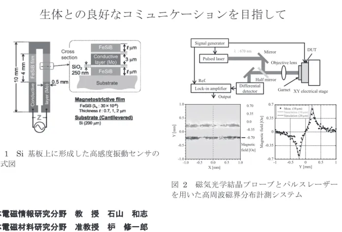 図 2   磁気光学結晶プローブとパルスレーザー を用いた高周波磁界分布計測システム