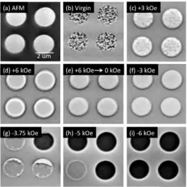 Fig. 2  AFM and MFM images of FePt (10 nm)/ MgO(10  nm)/ FePt (10 nm) circular dots with 2 μm φ  in diameter