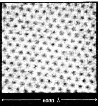 Fig. 2.4.  走査型トンネル顕微鏡(STM: scanning-tunneling microscope)によって  観察された、第 2 種超伝導体 NbSe 2 における磁束格子の像[文献 8]。