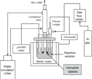 Figure 3 shows images of the gel-like precursor generated on the hematite tablet surface in the initial reaction stage (10 min)