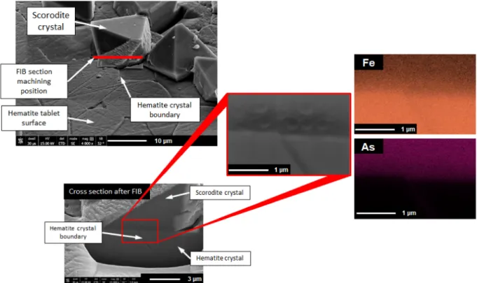 Fig. 7 SEM ­ EDX images of interface between hematite crystal boundary and generated scorodite crystal after reaction for 180 min (taken from Ref