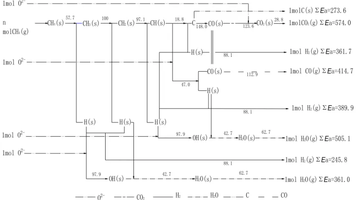 Fig. 3.3 The reactions routs of methane at the Ni-YSZ anode 