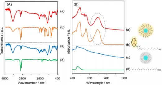 Figure 2 (A) FT-IR and (B) UV-vis spectra of (a) PyC 12 S-Pd NP colloid, (b) PyC 12 SH, (c) C 12 S- S-Pd NP colloid, and (d) C 12 SH