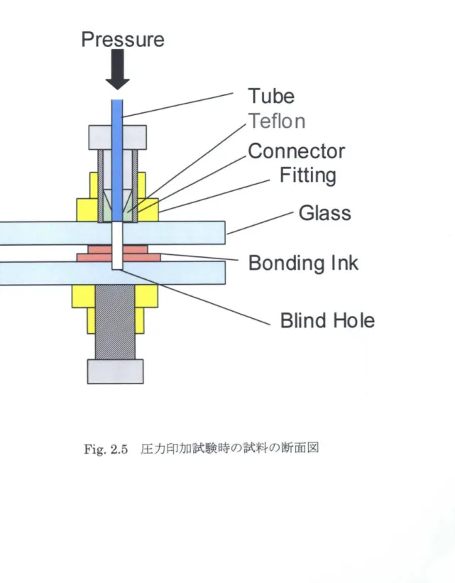 Fig. 2.5 圧力印加試験時の試料の断面図