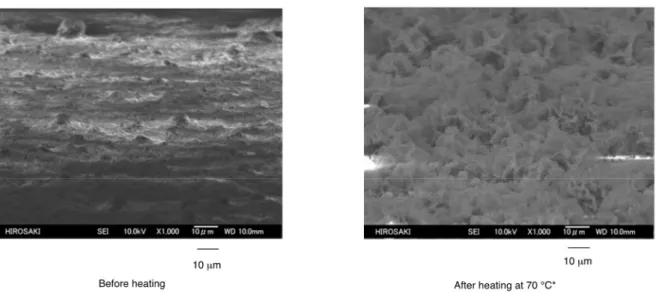 Figure 2-6 DFM (Dynamic Force Microscopy) topographic images of the modified glass surface treated with the                    R F -(VM-SiO 2 ) n -R F /AM-Cellu nanocomposites at 20  o C (before heating) and after heating at 70  o C*