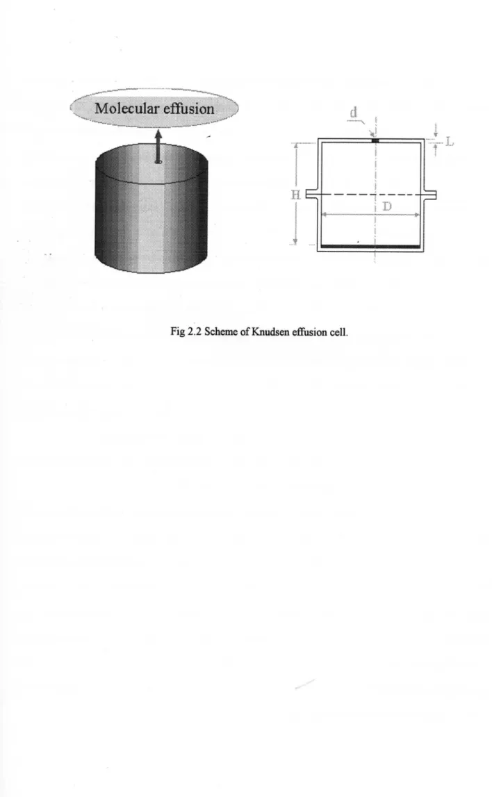 Fig 2.2 Scheme ofKnudsen e缶lSion cell.