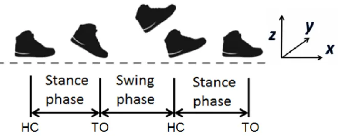 Fig. 3.1: The state of foot during gait is determined by TO time and HC time.