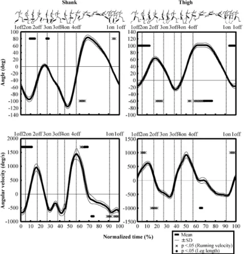 Fig. 8 Changes in the angles and angular velocities of shank and thigh of lead leg during 1cycle motion