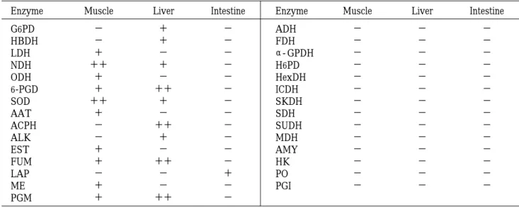 Table  3 .   Electrophoretically detectable enzymes in Clupea pallasii