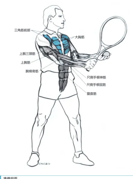図 1 準備局面 尺側手根伸筋尺側手根屈筋腹直筋大胸筋三角筋前部上腕三頭筋上腕筋腕橈骨筋