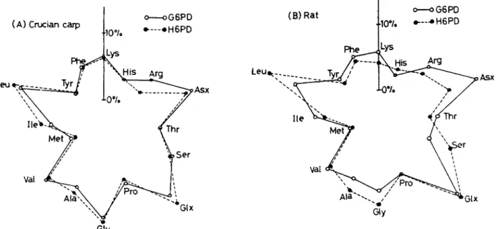 Fig. 1: Echinoderms consist of five classes: 1=sea-liliy, 2=sea-cucumber, 3=starfish, 4=sea-urchin, and 5=brittle-star.