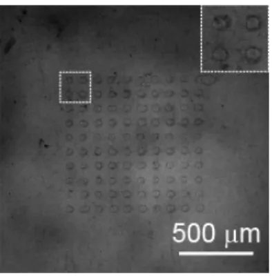 Fig.  2.  Optical  microscope  image of droplets of GDM-based  UV-curable liquid on a PET film  printed  using  a  substrate-side  modified  laser-drilled  PI  through-hole mask