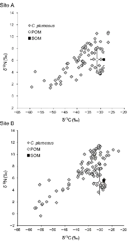 Fig.  4.  Interindividual  isotopic  variations  of  Chironomus  plumosus  larvae  collected 