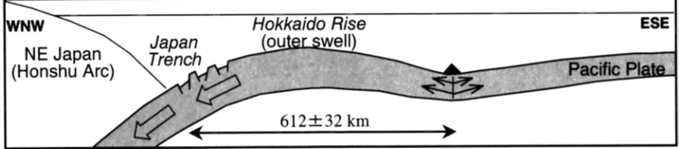 Figure  7.  A model  of possible  alkali-basalt  eruption  on  the  old  oceanic  crust  toward  the  subduction  zone