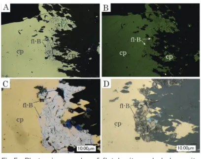 Fig. 6A の中央部付近で暗く見えた部分では Cu に乏しく Ni に富んでいる（フレッチャー鉱 A）。