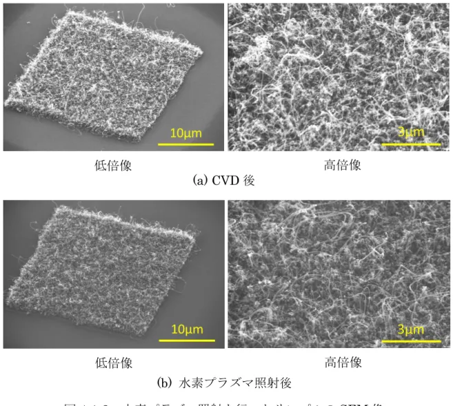 図 4-1-2  水素プラズマ照射を行ったサンプルの SEM 像 