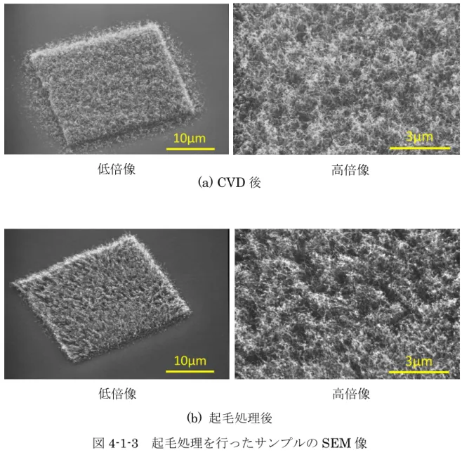 図 4-1-3  起毛処理を行ったサンプルの SEM 像 