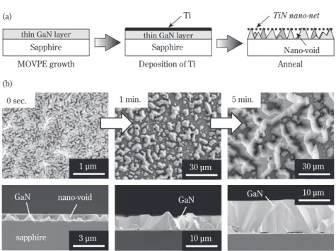 Fig. 7 (a) Sequence of seed crystal formation in void-assisted separation method (VAS) and (b) SEM photograph  of initial stage of GaN substrate growth by HVPE on the voided-seed crystal
