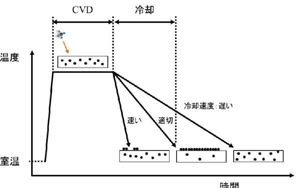 図 2.4  触媒 CVD における温度履歴とグラフェン成長モデル  2-3  グラフェンの光学特性    成長させたグラフェンを観察する際，光学顕微鏡像が用いられる。グラフェ ンは原子 1 枚の薄膜であるのにもかかわらず，目で見ることができる。グラフ ァイトを繰り返し粘着テープで剥がし，基板に転写したものを光学顕微鏡で観 察すると，剥離されたグラファイト薄膜は図 2.5 のように色づいて見える。その 色は実は「量子化」していて，一番薄い色が単層のグラフェンということにな る  [1, 34]。  グラフェ