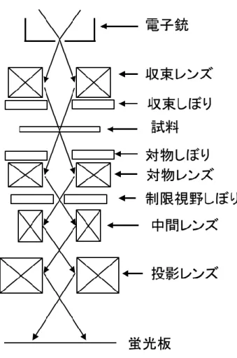 図 3.9TEM 装置の概略図 観察方法   本研究では，グラフェンの形状構造評価に日本電子製 JEM-1011M を加速電圧 を 80  kV で使用した。 TEM は通常，像の撮影に感光性の写真フィルムを用いる のに対し，この装置では像の撮影にデジタルカメラを使用していることが特徴 として挙げられる。 TEM 観察用の試料は以下のような手順で作成した。   電子顕微鏡用の Ni メッシュを，グラフェンを成長させた基板表面にピンセッ トで押さえ擦りつけたものを観察用試料とした。