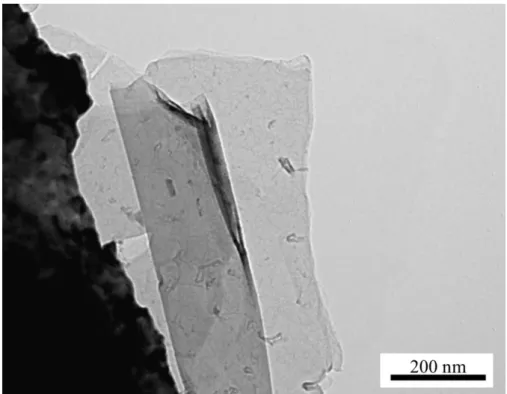 図 4.1.3 Fe 触媒 40 nm で CVD した基板の TEM 像