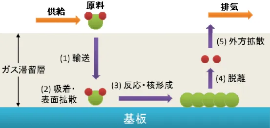 図 2-1-1 CVD プロセスにおける薄膜形成過程 2-1-3 CVD 法による CNT 成長メカニズム CVD 法は薄膜形成法であるが， CNT の成長方法としても用いられる。 CVD 法 による通常の薄膜形成プロセスでは，原料ガス分子が基板に吸着されることに より薄膜を形成するのに対し， CVD による CNT 成長では，原料ガスの分解から CNT の成長までの一連の過程において，基板上に予め形成した触媒が重要な役 割を果たす点が特徴的である。 CVD 法を用いた CNT の成長メカニズムは多くのモデ