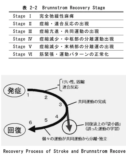 表  2-2  Brunnstrom Recovery Stage  Stage Ⅰ   完 全 弛 緩 性 麻 痺   Stage Ⅱ   痙 縮 ・ 連 合 反 応 の 出 現   Stage Ⅲ   痙 縮 亢 進 ・ 共 同 運 動 の 出 現   Stage Ⅳ   痙 縮 減 少 ・ 中 枢 部 の 分 離 運 動 出 現   Stage Ⅴ   痙 縮 減 少 ・ 末 梢 部 の 分 離 運 の 出 現   Stage Ⅵ   筋 緊 張 ・ 運 動 パ タ ー ン の 正 常 化  