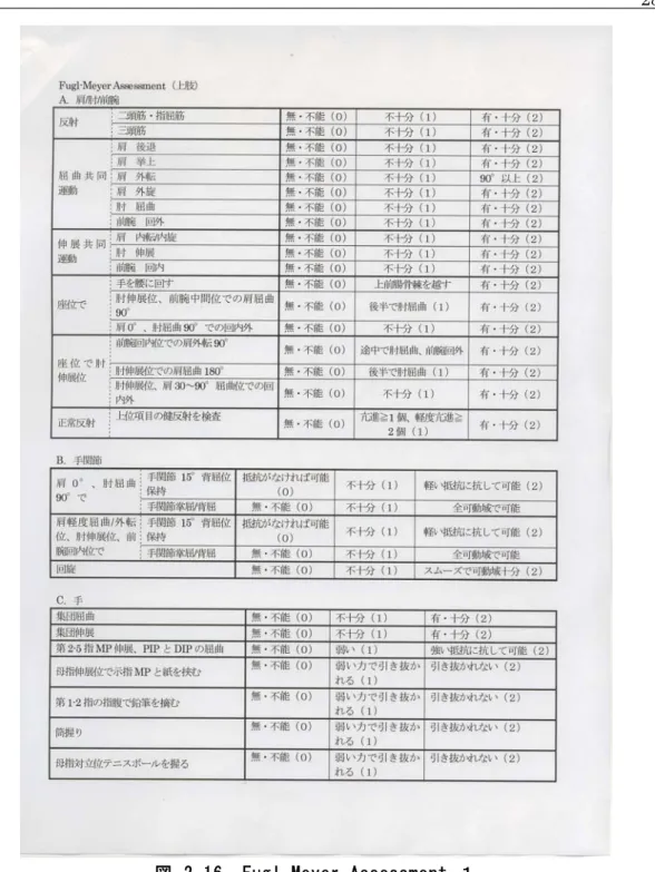 図  2-16  Fugl-Meyer Assessment １