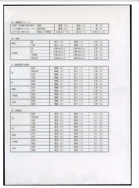 図  2-17  Fugl-Meyer Assessment ２  