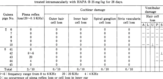 Table  4 Pinna  reflex  loss  and  histopathological  changes  of  inner  ear  in  guinea  pigs treated  intramuscularly  with  HAPA-B  25 mg/kg  for  28  days.