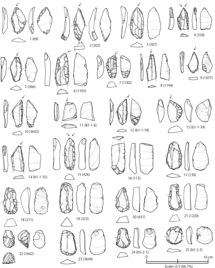 Fig. 17 Lithic tools excavated from the Gorbatka 3 site