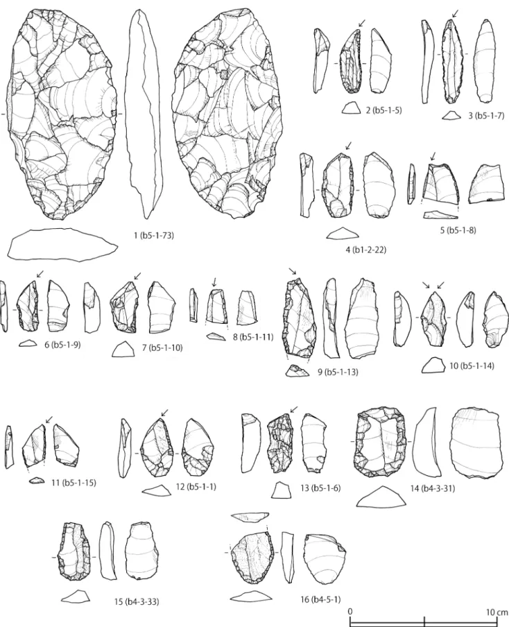 Fig. 19 Lithic tools excavated from the Ilistaya 1 site