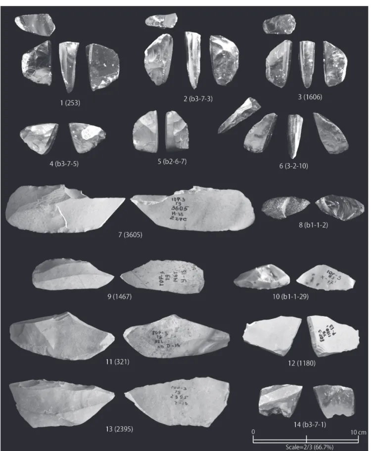 Fig. 20 Lithic tools excavated from the Gorbatka 3 site