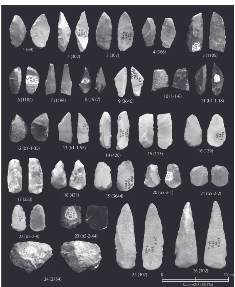 Fig. 21 Lithic tools excavated from the Gorbatka 3 site