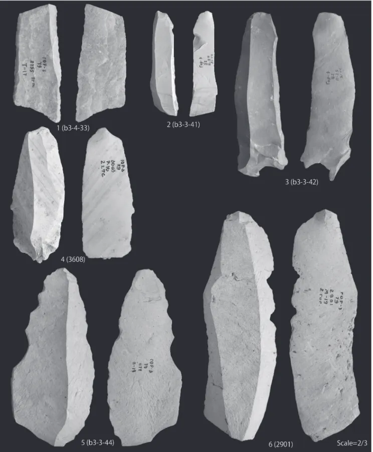 Fig. 22 Lithic tools excavated from the Gorbatka 3 site