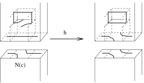 Figure 4: h : N c \ intD → Σ g × [0, 1]