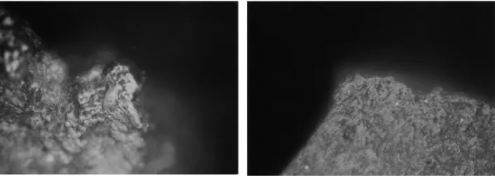 Figure 15. Experimental microwear polishes. (medium worked materials) 