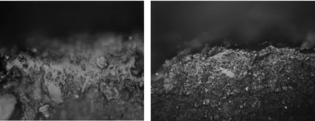 Figure 16. Experimental microwear polishes. (medium worked materials) 