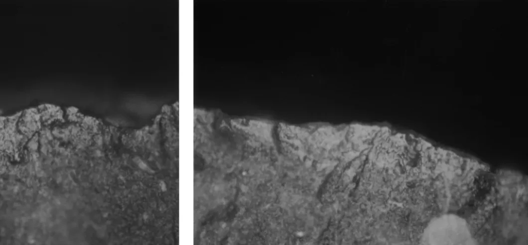 Figure 17. Experimental microwear polishes. (medium worked materials) 