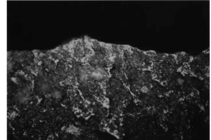 Figure 18. Experimental microwear polishes. (medium worked materials) 